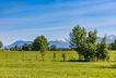 Traumblick bis zu den Alpen