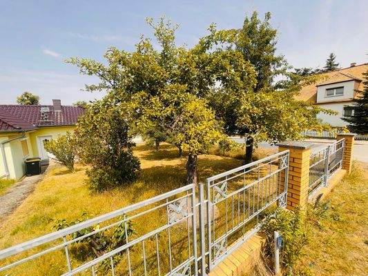 Blick in Richtung Grundstück