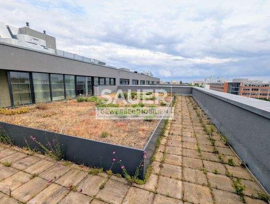 pxl_20250605_1044005352_watermark