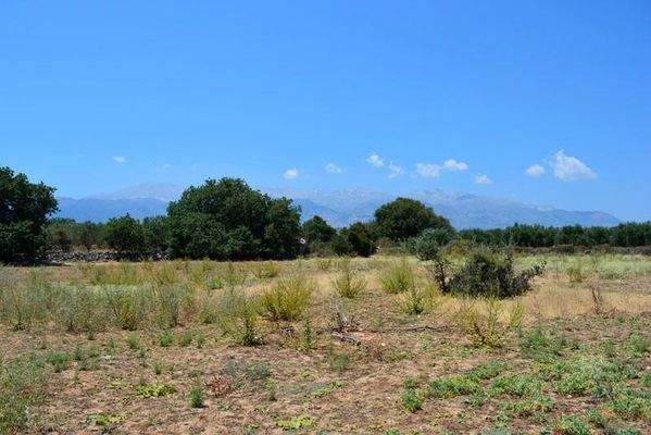 Kreta, Gavlochori: Grundstück mit herrlichem Berg- und Meerblick zu verkaufen