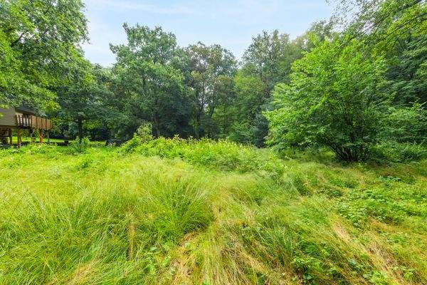 Wohnen am/im Naturschutzgebiet