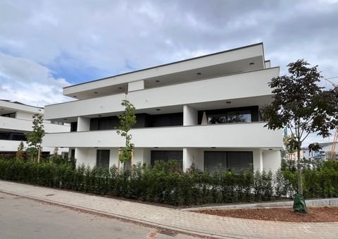 Bad Rappenau Wohnungen, Bad Rappenau Wohnung kaufen