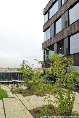 gemeinschaftliche Terrasse neu angelegt