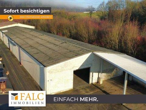 Möckmühl Halle, Möckmühl Hallenfläche