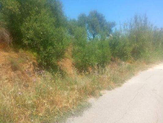 Kreta, Maleme: Grundstück mit Meerblick innerhalb des Stadtplans zu verkaufen