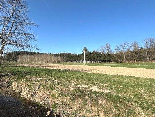 Landwirtschaftsfläche