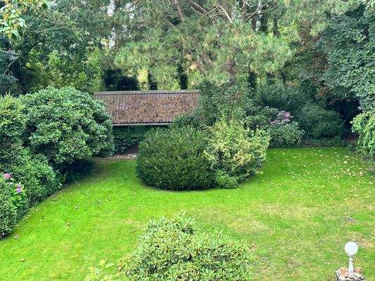 Blick in den Garten