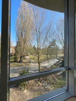 Ausblick in Richtung Park