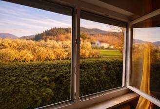 Ausblick Zimmer 1 EG