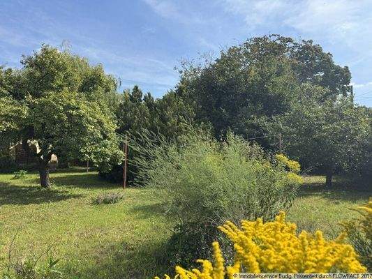 Das Grundstück wird bisher als Garten genutzt