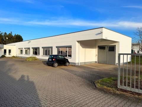 Eckental Halle, Eckental Hallenfläche
