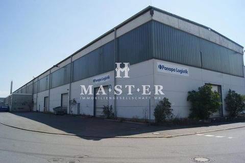 Schwabmünchen Halle, Schwabmünchen Hallenfläche