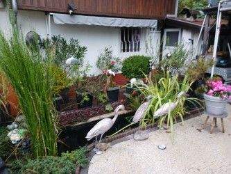 thumbnail_Freisitz mit Teich im Garten.jpg