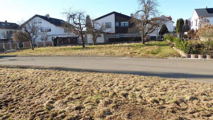 Rommelsbach-Blick-über-Strasse-auf-Grundstück