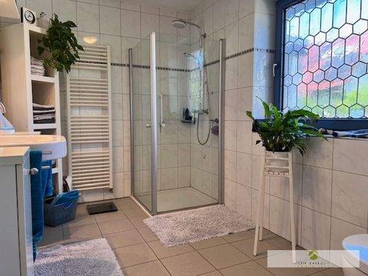 Ihr großzügiges Tageslicht-Dusch-Bad im Erdgeschoss