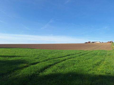 Osterhofen Bauernhöfe, Landwirtschaft, Osterhofen Forstwirtschaft