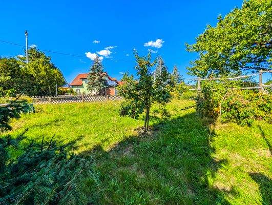 Grüne Oase vor dem Haus