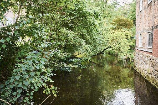 Impression Quelkhorn_4