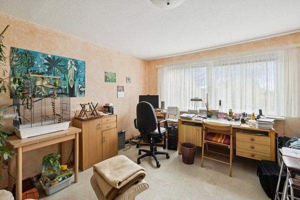 Arbeitszimmer/Schlafzimmer 4