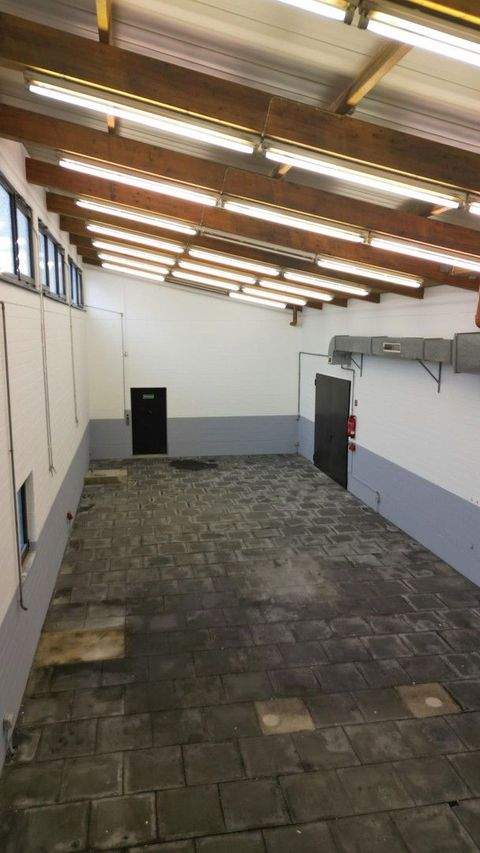 Erftstadt Halle, Erftstadt Hallenfläche