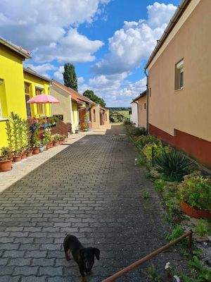 462878432_1062547488930049_8371830724177112494_n m