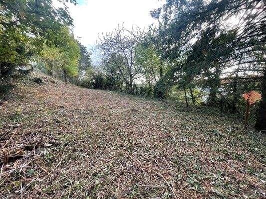 PHOTO-2025-10-14-16-55-09 2.jpg