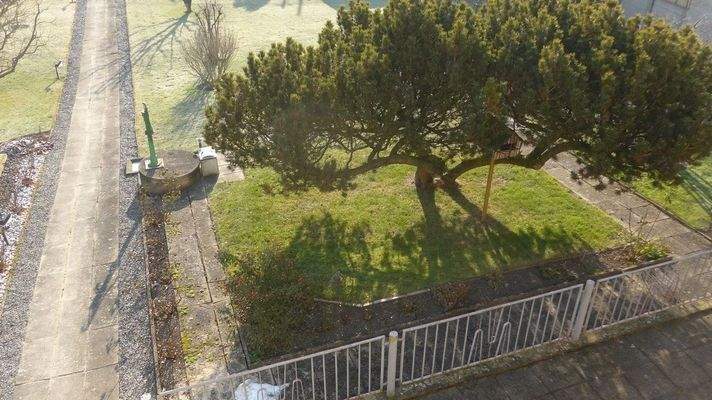 Blick aus linker Haushälfte