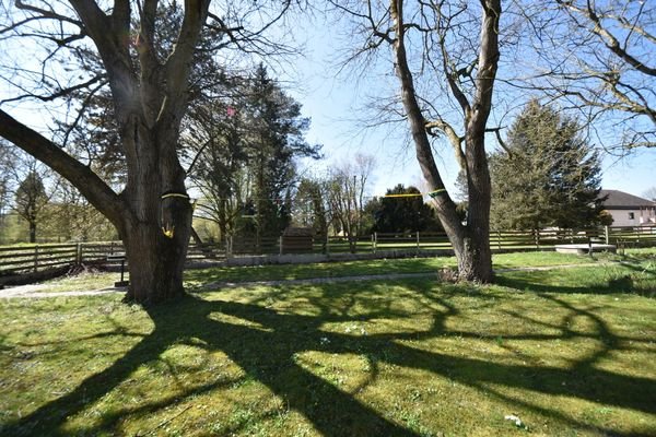 Parkähnlicher Garten3
