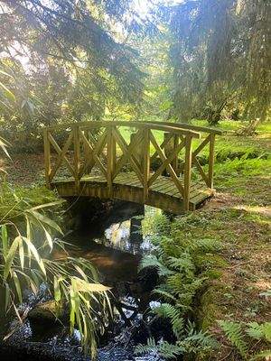 Aussen Brücke 2 h.jpg