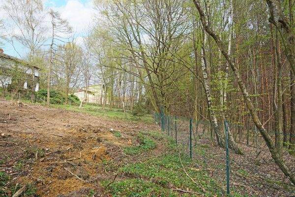 entlang der südlichen Grundgrenze nach Osten