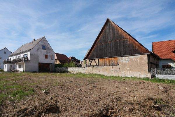 Garten mit Blickfang auf dem Nachbargrundstück