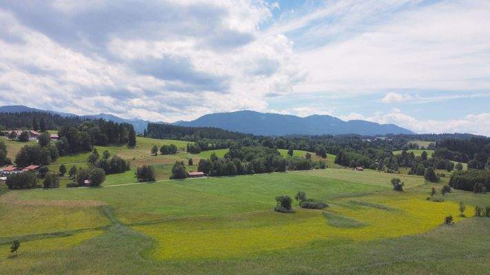 Blickrichtung-Süden