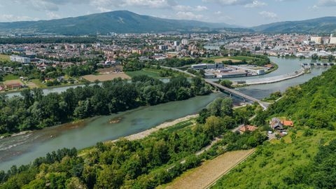 Maribor Bauernhöfe, Landwirtschaft, Maribor Forstwirtschaft