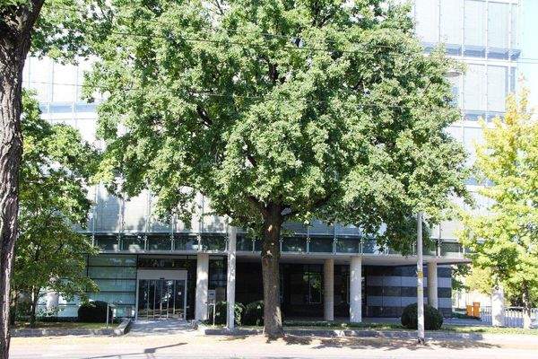 Zugang Bürogebäude