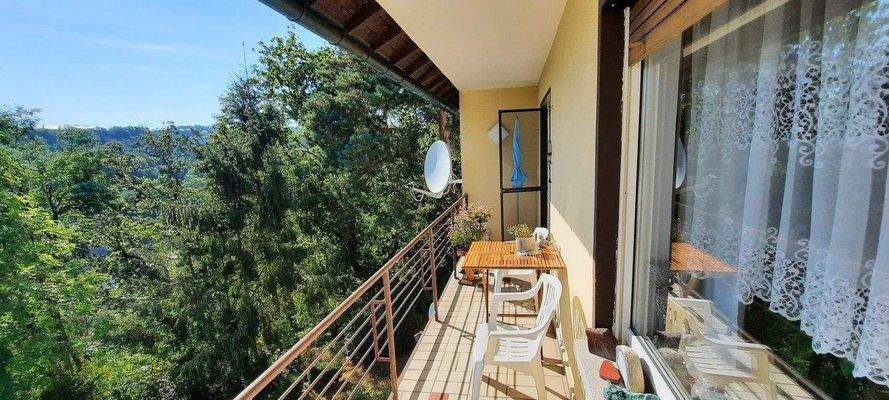 Balkonblick Wald.jpg