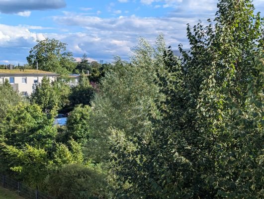 Ausblick vom Balkon