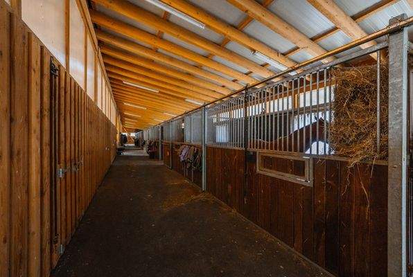 20250514-DSC00167-SJ Photography (Selina Jakob)