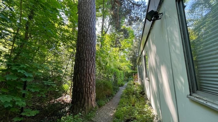 Gartenbereich hinten am Waldrand