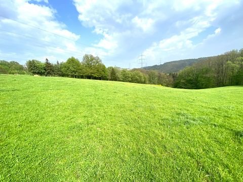 Windeck Bauernhöfe, Landwirtschaft, Windeck Forstwirtschaft