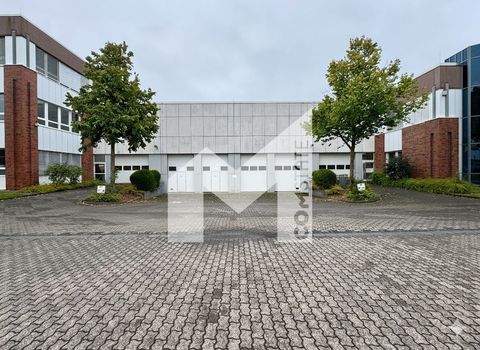 Düsseldorf Halle, Düsseldorf Hallenfläche