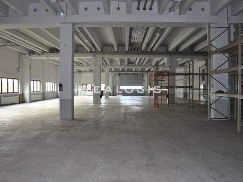 Engstingen Halle, Engstingen Hallenfläche