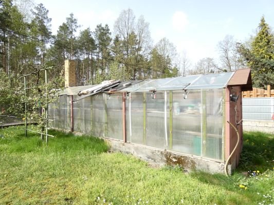 Gewächshaus im Vorgarten
