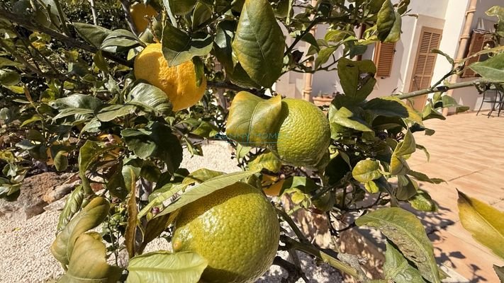  Exclusives Landhaus nahe Santanyi