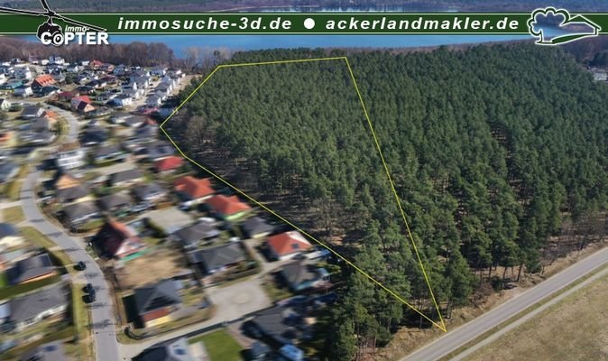 Wald Bestensee ca. 6 ha