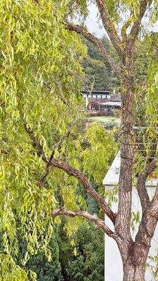 Seeblick---Dachterasse