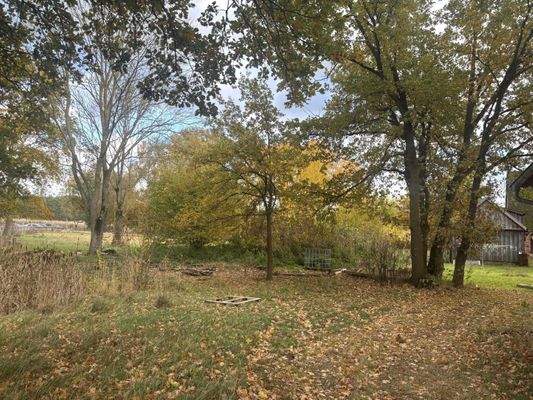 Blick ins Grundstück