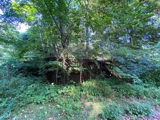 Schlosspark (18).JPG