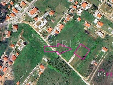 Vrsi Bauernhöfe, Landwirtschaft, Vrsi Forstwirtschaft