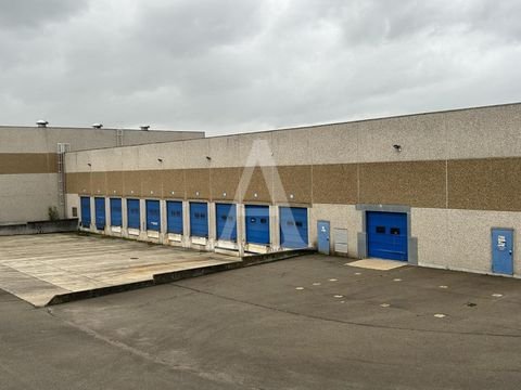 Ense Halle, Ense Hallenfläche