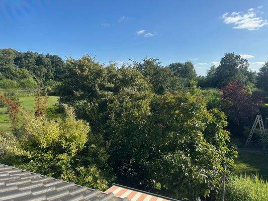 Blick vom OG in den Garten.jpg